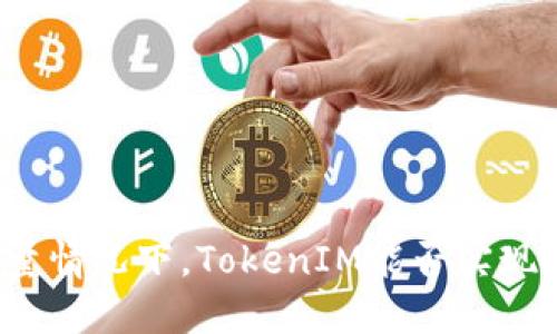 无网络流量情况下，TokenIM能否实现转账功能？