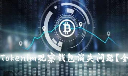 如何解决Tokenim观察钱包消失问题？全方位指南