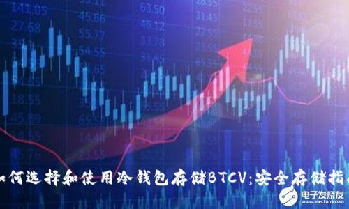 如何选择和使用冷钱包存储BTCV：安全存储指南