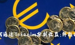 如何通过Tokenim分析收益：终极指南