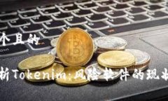 思考一个且的  深入解析Tokenim：风险软件的现状