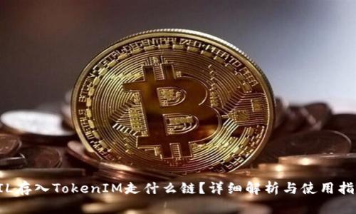 FIL存入TokenIM走什么链？详细解析与使用指南
