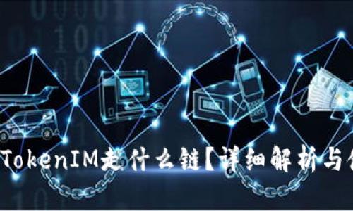 FIL存入TokenIM走什么链？详细解析与使用指南