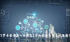 门罗币能否存入冷钱包？详细指南与常见问题解