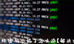 tokenim转账密码忘记了怎么办？解决方法大揭秘