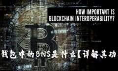Tokenim钱包中的BNS是什么？详解其功能和价值