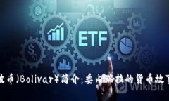 波币（Bolivar）简介：委内瑞拉的货币故事