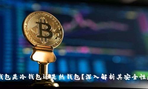 Coinomi 钱包是冷钱包还是热钱包？深入解析其安全性和使用场景