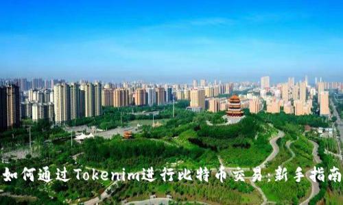 如何通过Tokenim进行比特币交易：新手指南