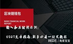 输入和关键词示例：USDT充币指南：新手必看一站