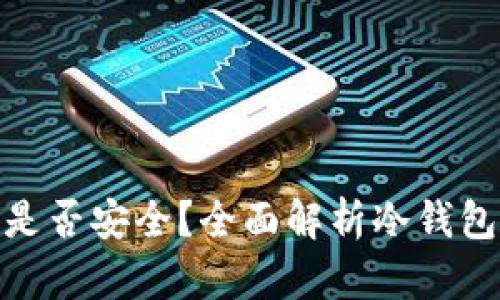 冷钱包更新权限是否安全？全面解析冷钱包的安全性与风险