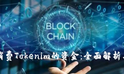 如何有效消费Tokenim的资金：全面解析与实用指南