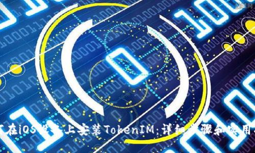 如何在iOS设备上安装TokenIM：详细步骤和实用指南