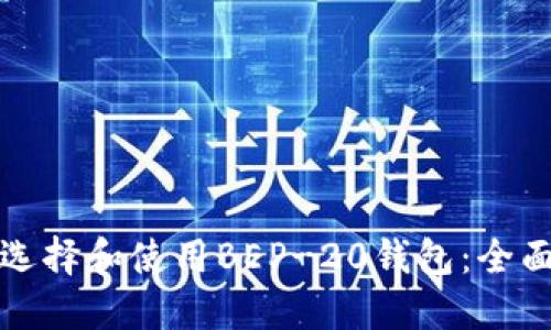 如何选择和使用BEP-20钱包：全面指南