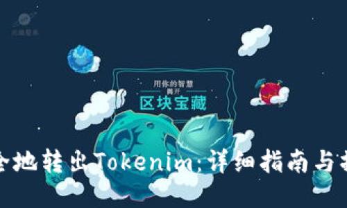 如何安全地转出Tokenim：详细指南与操作技巧