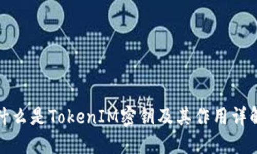 什么是TokenIM密钥及其作用详解