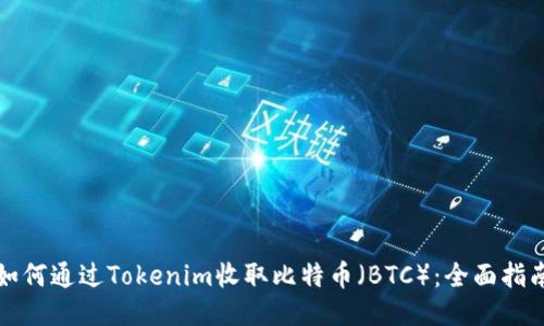 如何通过Tokenim收取比特币（BTC）：全面指南