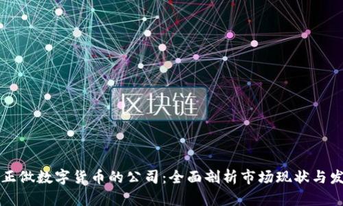 国内真正做数字货币的公司：全面剖析市场现状与发展趋势