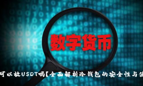冷钱包可以放USDT吗？全面解析冷钱包的安全性与使用方法