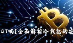 冷钱包可以放USDT吗？全面解析冷钱包的安全性与