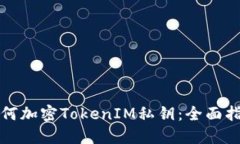 如何加密TokenIM私钥：全面指南