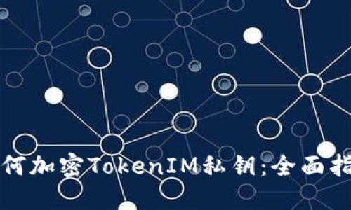 如何加密TokenIM私钥：全面指南