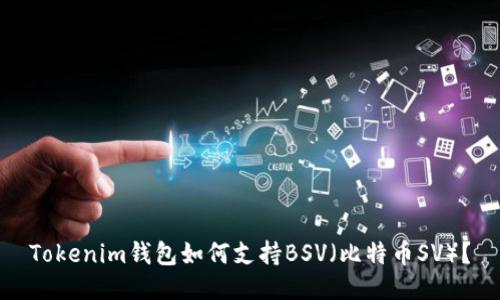 Tokenim钱包如何支持BSV（比特币SV）？