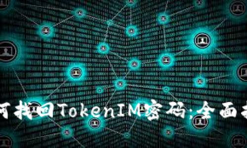 如何找回TokenIM密码：全面指南