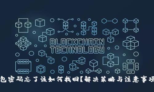 冷钱包密码忘了该如何找回？解决策略与注意事项解析