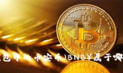  TP冷钱包中的币安币（BNB）属于哪个网络？