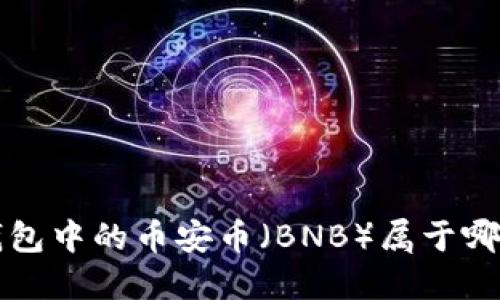  TP冷钱包中的币安币（BNB）属于哪个网络？