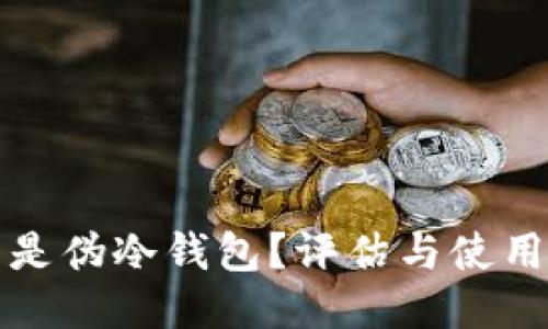 什么是伪冷钱包？评估与使用指南