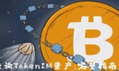 如何查询TokenIM资产：完整指南与技巧