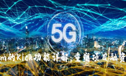 Tokenim的Kick功能详解：重塑项目融资的未来